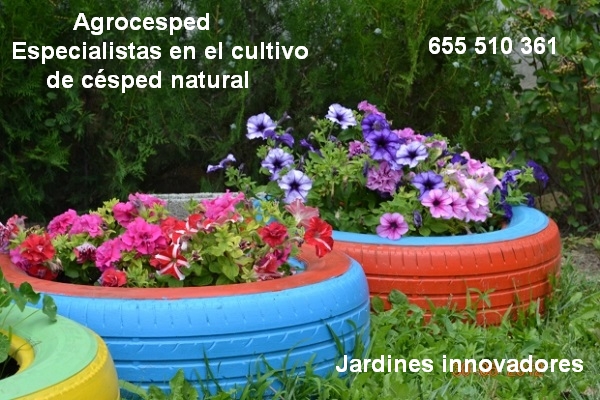 Jardines innovadores con césped natural