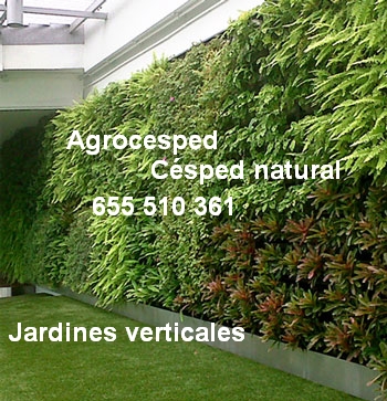 Jardines verticales-Agrocesped.info